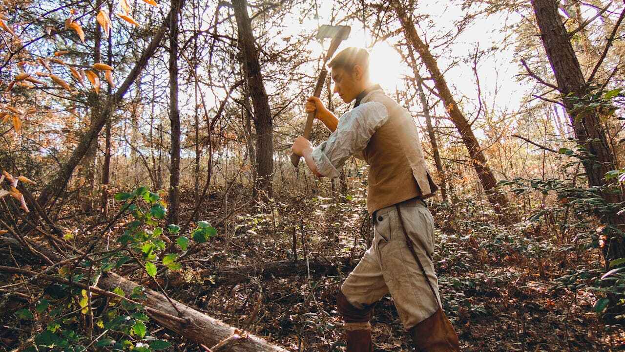 Tree Branch Trimming in Riverview, MO